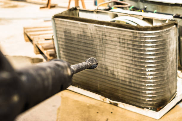 Best Air Duct Mold Removal  in Kachina Village, AZ