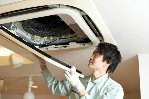 Best Air Vent Cleaning Services  in Kachina Village, AZ