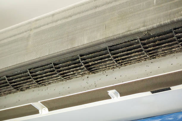 Best Duct Cleaning for Homes  in Kachina Village, AZ