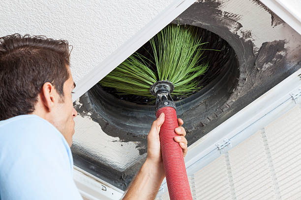 Air Duct Mold Removal in AZ