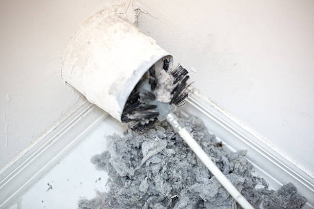 Best Professional Duct Cleaning Services  in Kachina Village, AZ